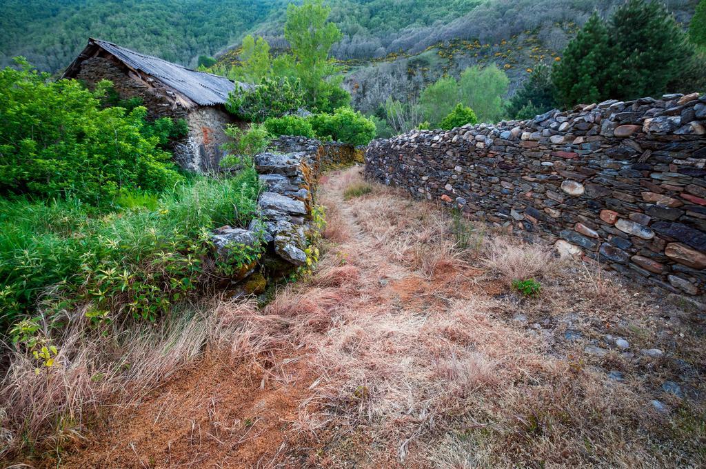 Aguas Frias Ii La Omañuela